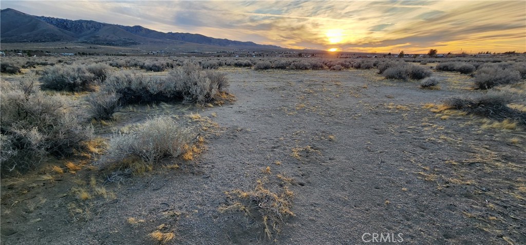 MLS #IV25049226 img 6