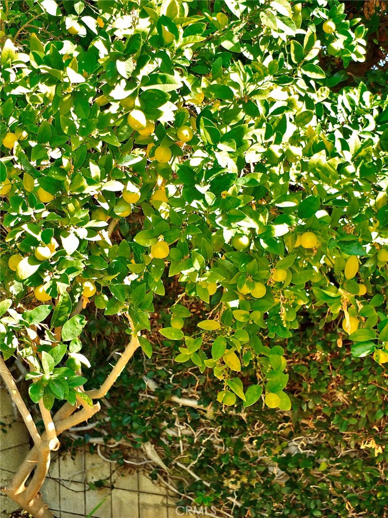 https://media.crmls.org/medias/11262798-fbdc-4c8a-8da4-201eb0b4b70c.jpg?preset=X-Large