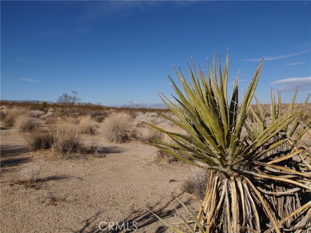 0 Lee rd, Joshua Tree, CA, 92252 0 Lee rd, Joshua Tree, CA, 92252