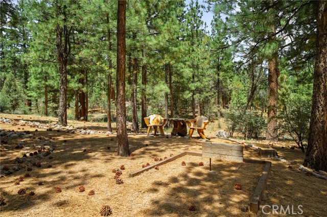 1947 Shady Lane, Big Bear City CA: https://media.crmls.org/medias/113016ca-a7ac-4495-9d06-17f33899843b.jpg