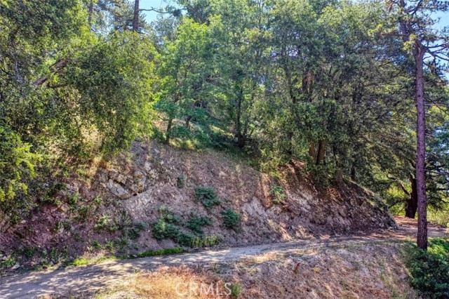 0 Cochran Rd, Cedarpines Park, California 92391, ,Land,For Sale,0 Cochran Rd,CREV22196824