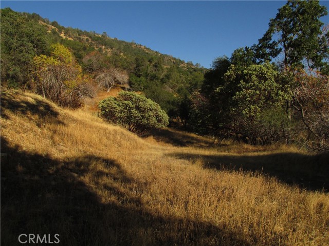 Detail Gallery Image 41 of 54 For 2 Ac Old Oaks Ct, North Fork,  CA 93643 - – Beds | – Baths