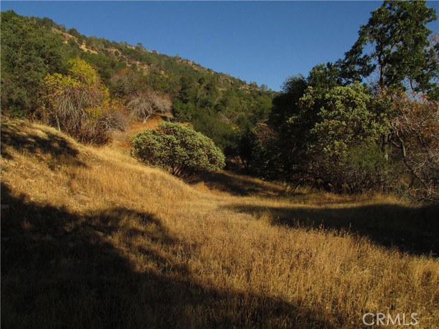 Detail Gallery Image 41 of 54 For 2 Ac Old Oaks Ct, North Fork,  CA 93643 - – Beds | – Baths