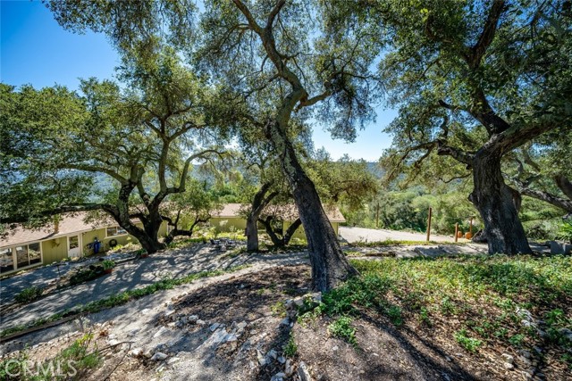 Detail Gallery Image 48 of 75 For 9954 Wildflower Rd, Santa Maria,  CA 93454 - 4 Beds | 2 Baths