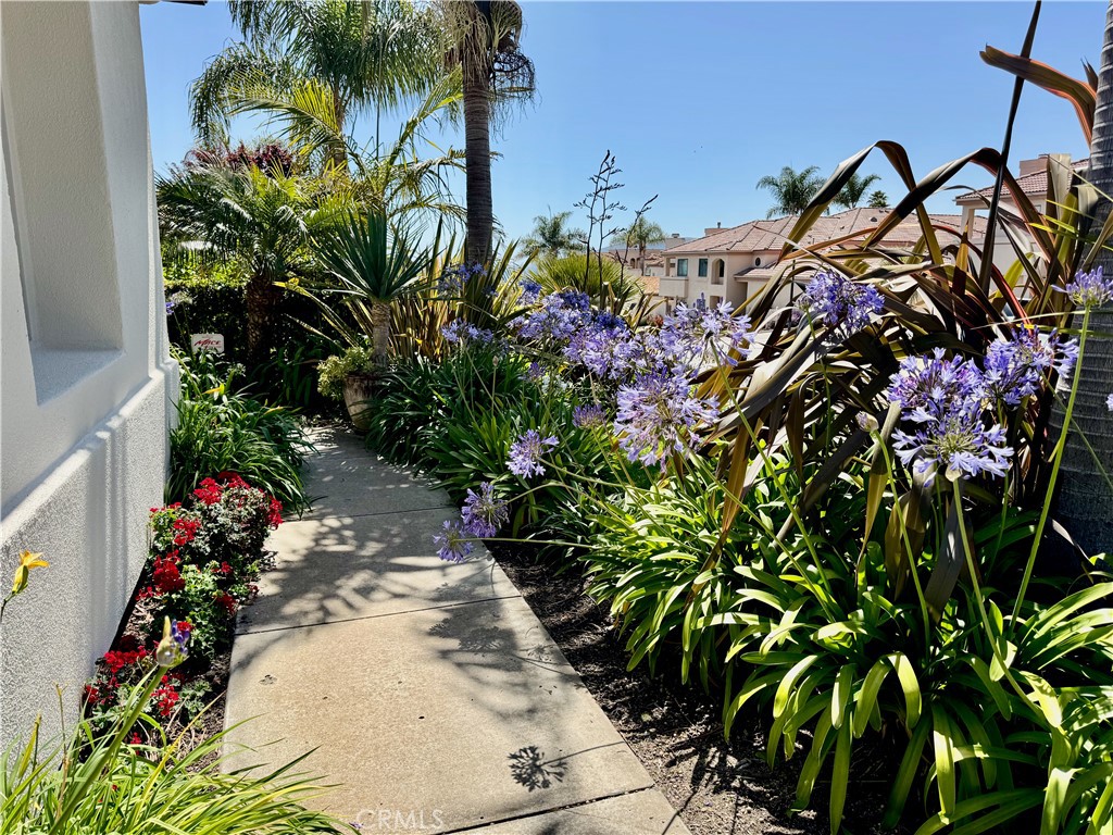 MLS #PI25132015 image #53