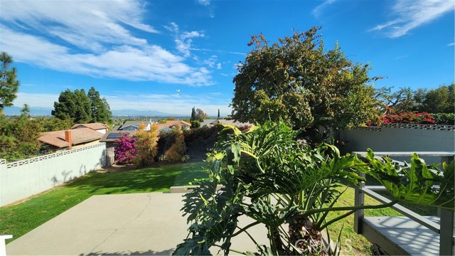 View from the Living Room Window