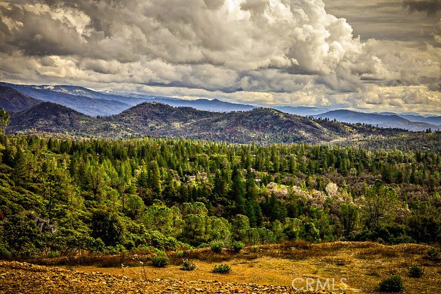 Detail Gallery Image 43 of 72 For 5333 Wilderness View Dr, Mariposa,  CA 95338 - 2 Beds | 2 Baths