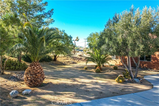 Detail Gallery Image 6 of 65 For 61218 Sandalwood Trl, Joshua Tree,  CA 92252 - 3 Beds | 2 Baths