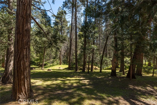 Detail Gallery Image 49 of 71 For 36333 Finegold Creek, North Fork,  CA 93643 - 3 Beds | 2 Baths