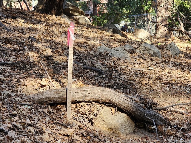 0 Basel Drive, Crestline CA: https://media.crmls.org/medias/1160dd11-fefe-47ff-baf2-23423a532064.jpg