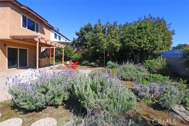 Backyard with avocado tree, drought tolerant plants and patio