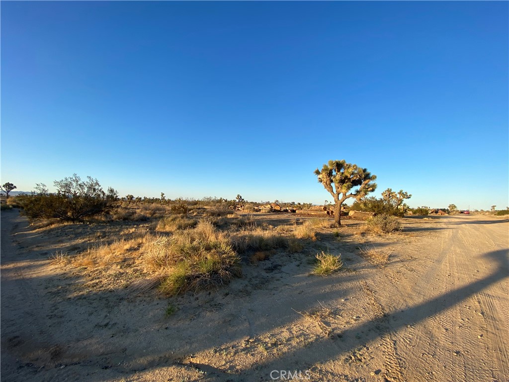 MLS #HD25093308 image #7