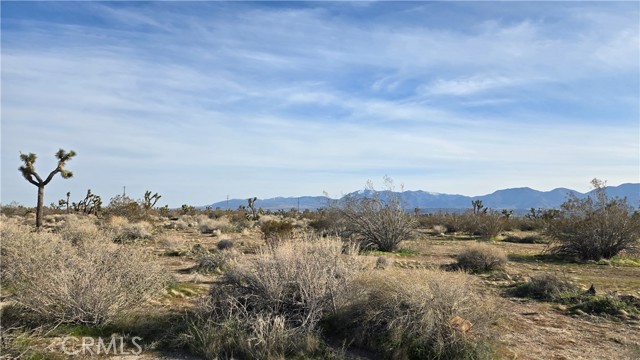 Detail Gallery Image 9 of 21 For 0 115th St East S/O Ave S, Littlerock,  CA 93543 - – Beds | – Baths