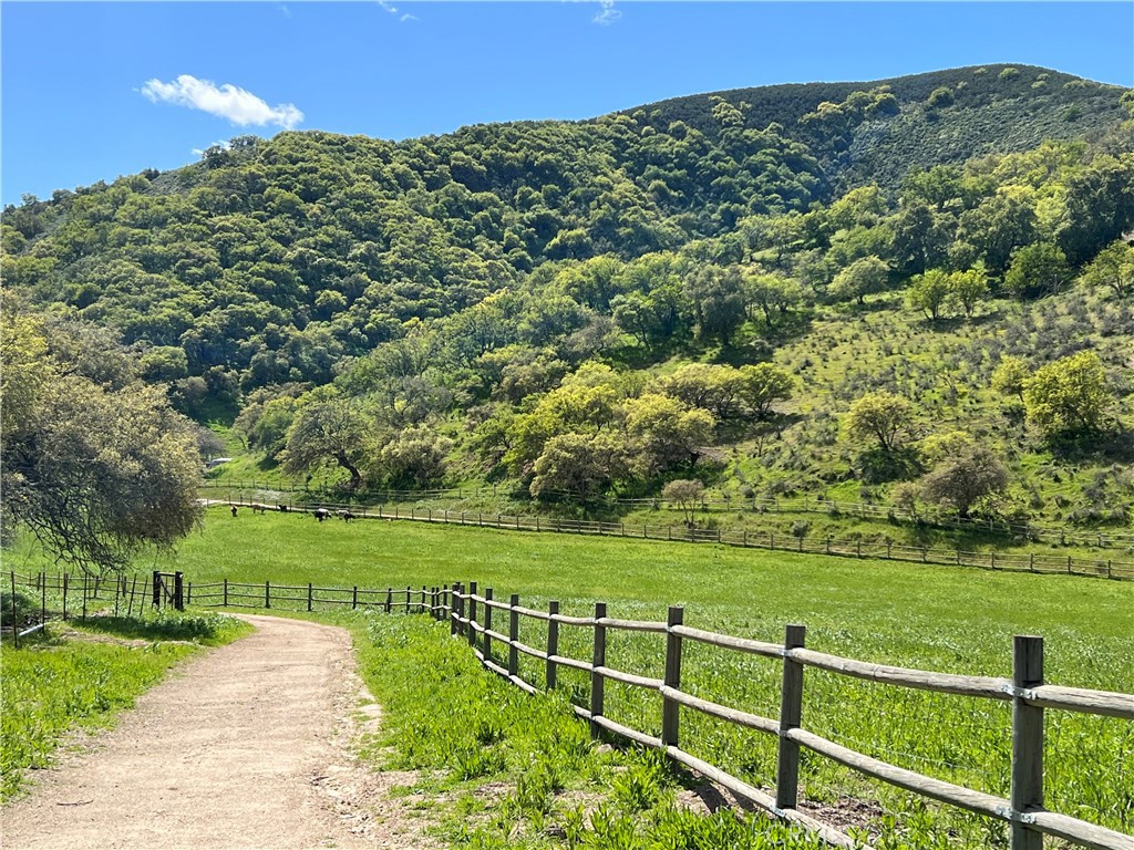 https://media.crmls.org/medias/116a29d1-d5ce-4693-af3f-82aef0e192f4.jpg?preset=X-Large
