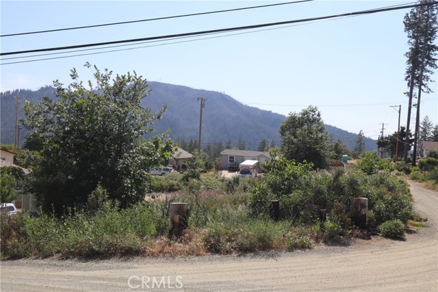 16021 Maple, Cobb, California 95461, ,Land,For Sale,16021 Maple,CRLC23114891