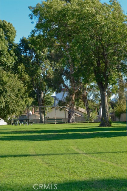 10060 Hillsborough Lane, Riverside CA: https://media.crmls.org/medias/1172fab2-ed8b-4445-a264-f9cf9e796223.jpg