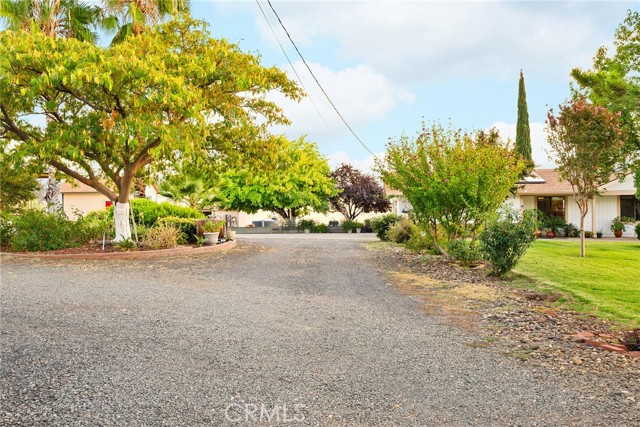 Detail Gallery Image 4 of 70 For 4386 Woodrose Dr, Butte Valley,  CA 95965 - 3 Beds | 2/1 Baths