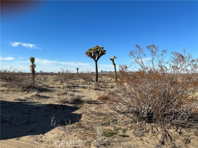 Detail Gallery Image 2 of 3 For 2 Wilson Ranch Rd, Adelanto,  CA 92301 - – Beds | – Baths
