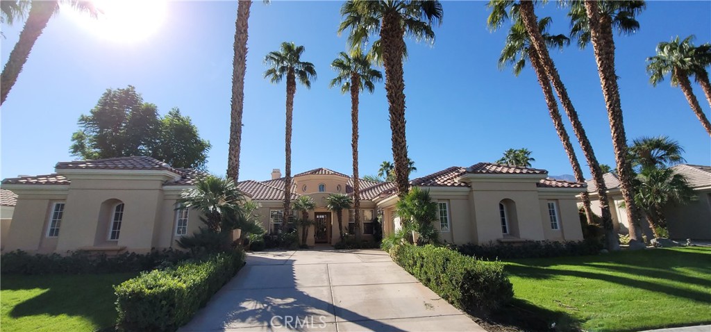 81265 Kingston Heath