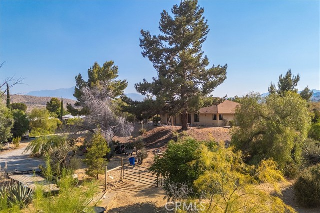 Detail Gallery Image 65 of 73 For 49833 Maccele Rd, Morongo Valley,  CA 92256 - 3 Beds | 2 Baths