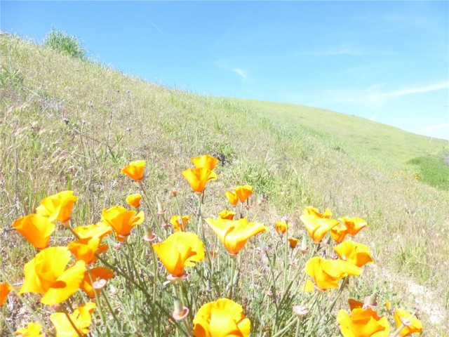 Detail Gallery Image 14 of 42 For 0 Douglas Rd. (Lot 28), San Miguel,  CA 93451 - – Beds | – Baths