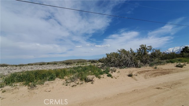 Detail Gallery Image 12 of 31 For 0 123rd St East Near Ave X8, –,  CA 93553 - – Beds | – Baths