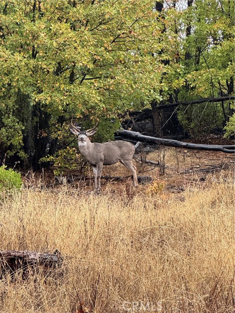 Detail Gallery Image 12 of 12 For 21575 My Way, Middletown,  CA 95461 - – Beds | – Baths