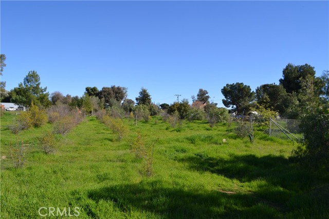 Image 21 of 38 For 29580 Patelli Way