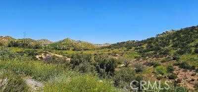 13 Washburn Road, Lake Elsinore, California 92532, ,Land,For Sale,13 Washburn Road,CRSW23058981