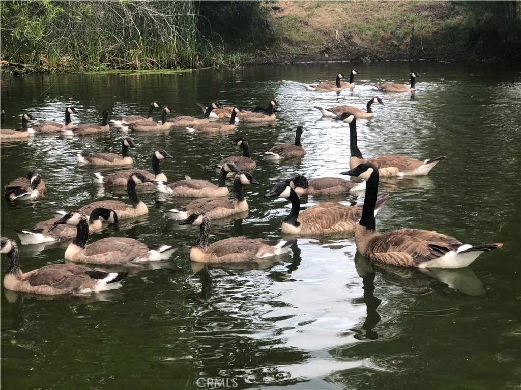 https://media.crmls.org/medias/119553b9-76c7-4047-a75d-c4ddba1d732e.jpg?preset=X-Large