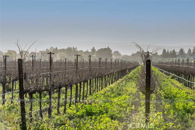 Detail Gallery Image 75 of 75 For 2459 French Oak, Livermore,  CA 94550 - 5 Beds | 4 Baths