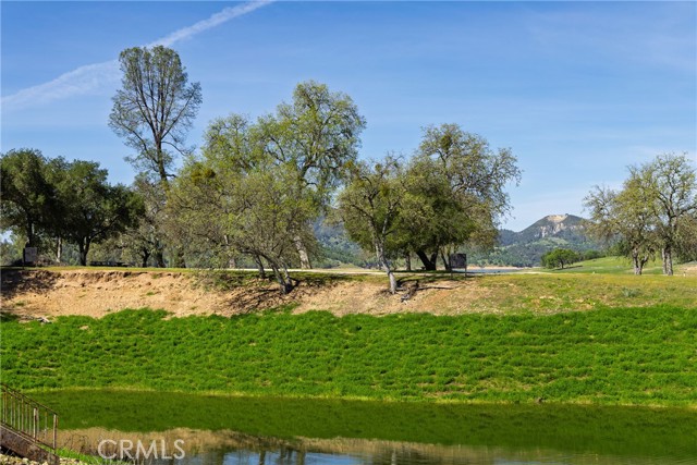Detail Gallery Image 61 of 75 For 5550 Las Tablas Bay, Paso Robles,  CA 93446 - 4 Beds | 2 Baths