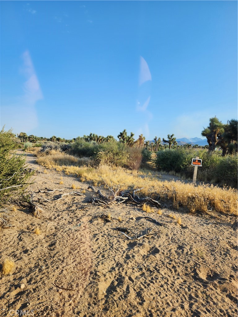 MLS #CV25255822 image #11