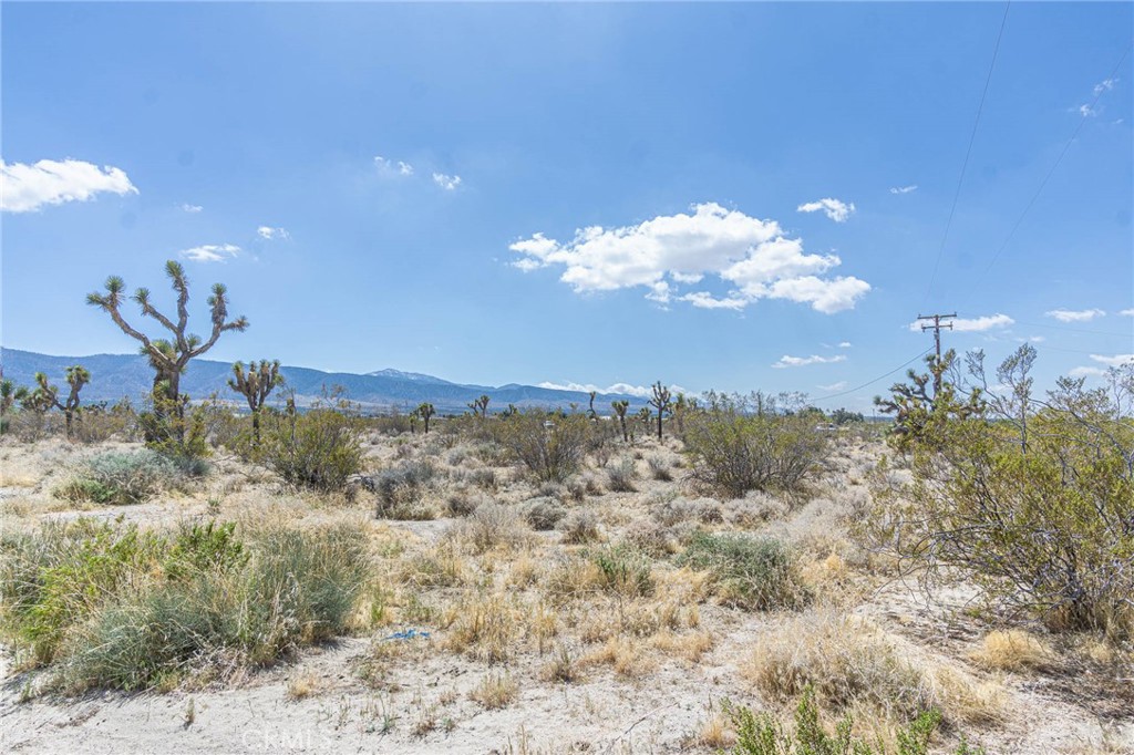 MLS #HD25097264 image #15