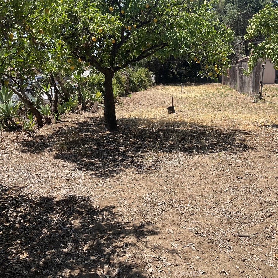 https://media.crmls.org/medias/11c1d30e-00b4-4a56-b990-468abab04969.jpg?preset=X-Large