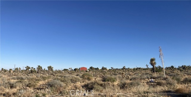 Front Image Thumbnail for CRCV26051316