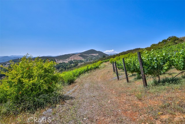 0 Via Herradura, Murrieta CA: https://media.crmls.org/medias/11c3d385-a41e-4741-b8cb-41e5703e5c8a.jpg