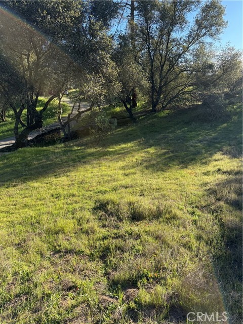 Detail Gallery Image 24 of 25 For 0 Long Hollow Lot 1631, Coarsegold,  CA 93614 - – Beds | – Baths