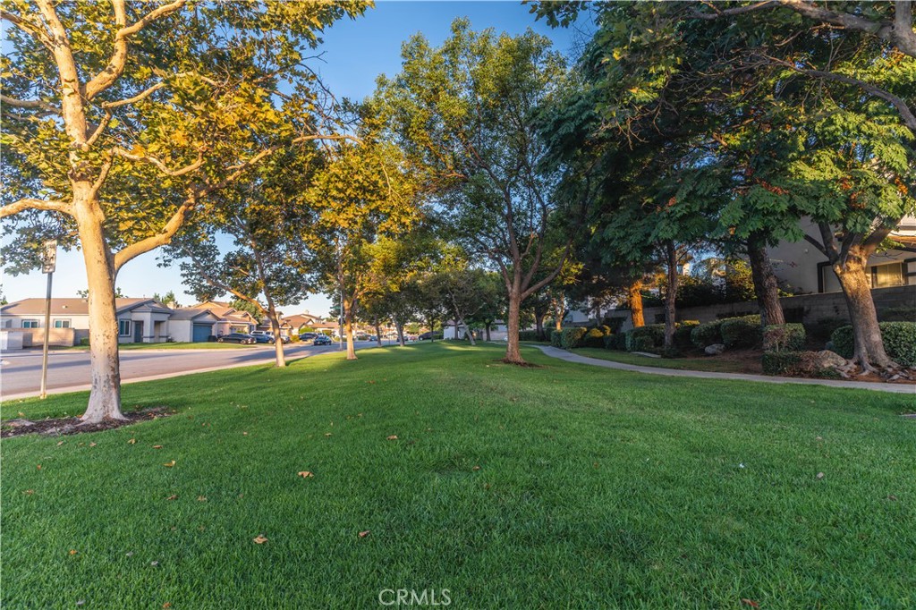 https://media.crmls.org/medias/11c5b646-b564-4227-ba2c-bc3df626f1ea.jpg?preset=X-Large