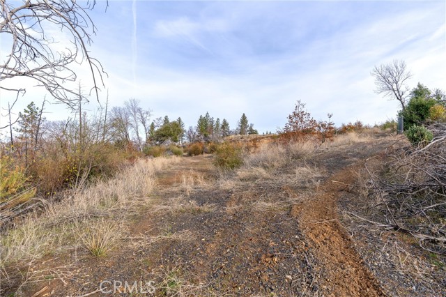 2261 Lumpkin Road, Oroville, California 95966, ,Land,For Sale,2261 Lumpkin Road,CRSN23227177