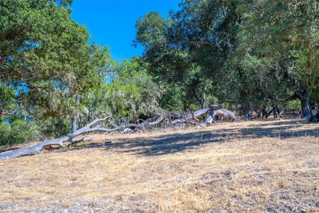 8315 Linda Vista Avenue, Atascadero CA: https://media.crmls.org/medias/11cd47ac-36e8-41a7-b3e5-9712c6a20d6e.jpg