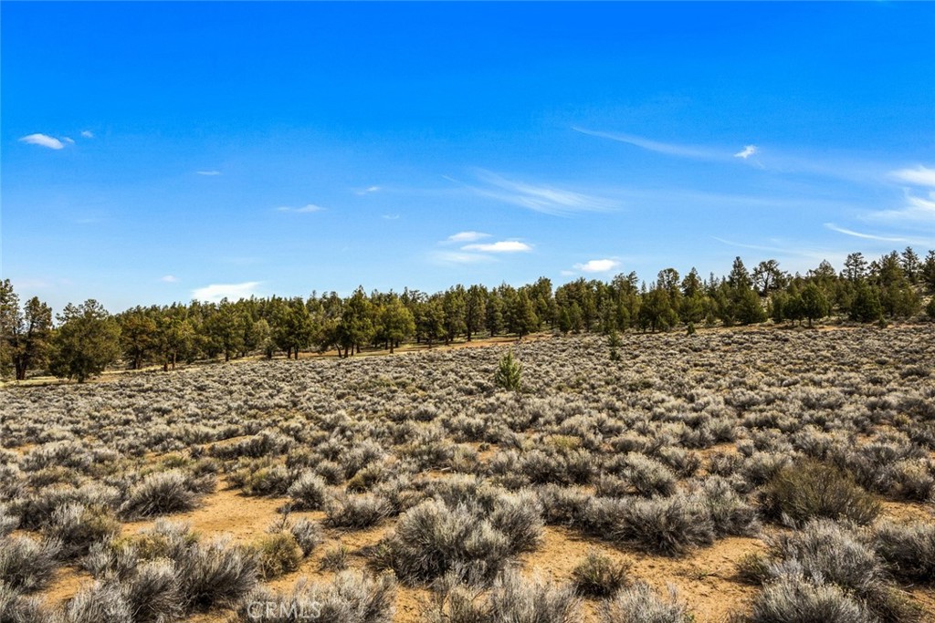 https://media.crmls.org/medias/11cdeddd-e9d4-4ef7-9278-a8cba7fc25be.jpg?preset=X-Large