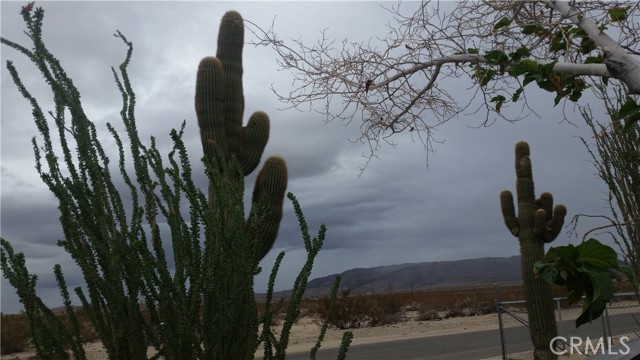 Detail Gallery Image 6 of 15 For 6790 Maude Adams Ave, Twentynine Palms,  CA 92277 - 2 Beds | 1 Baths