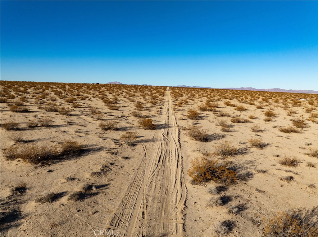 MLS #JT25029694 image #3