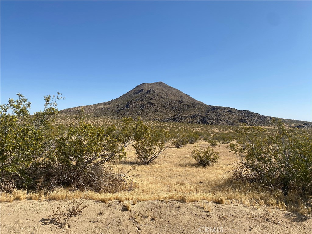 MLS #HD24098646 image #5