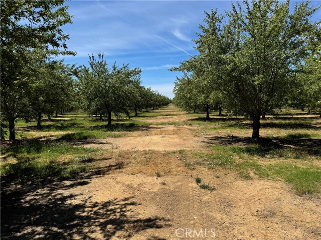 Detail Gallery Image 29 of 30 For 24895 New Jersey Ave, Corning,  CA 96021 - 3 Beds | 2 Baths