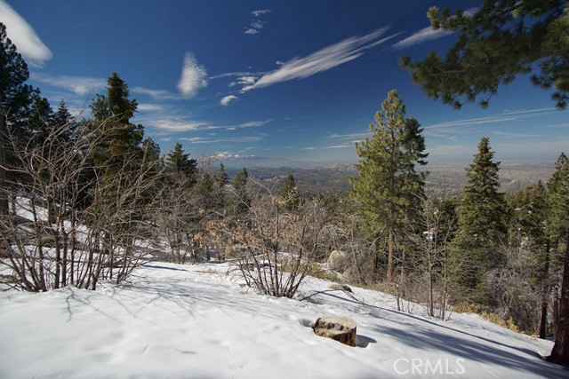 Detail Gallery Image 40 of 47 For 33149 Holcomb Creek Dr, Green Valley Lake,  CA 92341 - 3 Beds | 1 Baths