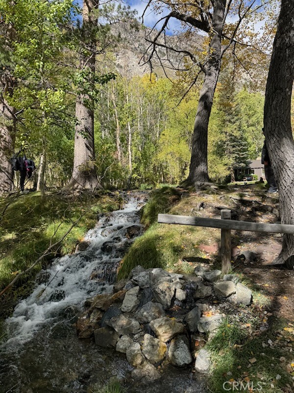 Drew Fenton | 0 Piute Dr June Lake CA | MLS: 7472150