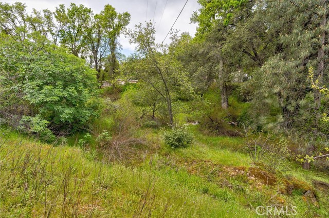 Detail Gallery Image 9 of 35 For 38033 Highway 41, Oakhurst,  CA 93644 - 3 Beds | 2/1 Baths