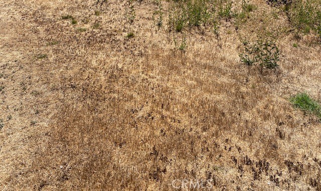 Front Image Thumbnail for CRPW26024868